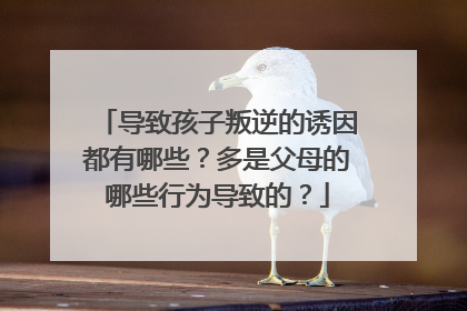 导致孩子叛逆的诱因都有哪些?多是父母的哪些行为导致的?