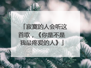 寂寞的人会听这首歌,《你是不是我最疼爱的人》