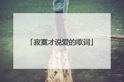 寂寞才说爱的歌词
