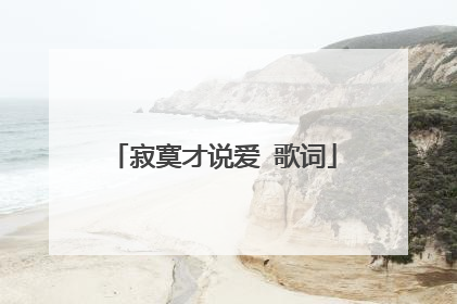 寂寞才说爱 歌词