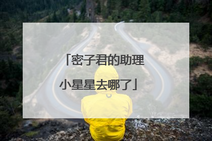 密子君的助理小星星去哪了