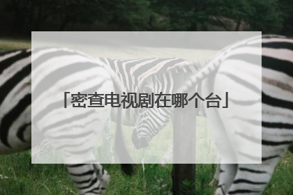 密查电视剧在哪个台