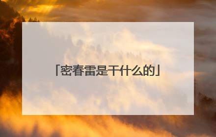 密春雷是干什么的