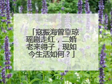 寇振海曾靠琼瑶剧走红,二婚老来得子,现如今生活如何?