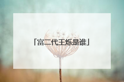 富二代王烁是谁