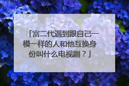 富二代遇到跟自己一模一样的人和他互换身份叫什么电视剧?