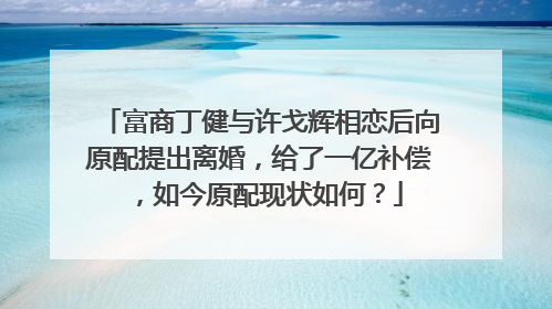 富商丁健与许戈辉相恋后向原配提出离婚,给了一亿补偿,如今原配现状如何?