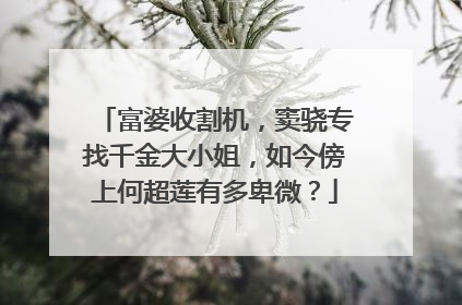富婆收割机，窦骁专找千金大小姐，如今傍上何超莲有多卑微？
