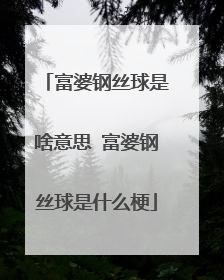 富婆钢丝球是啥意思 富婆钢丝球是什么梗