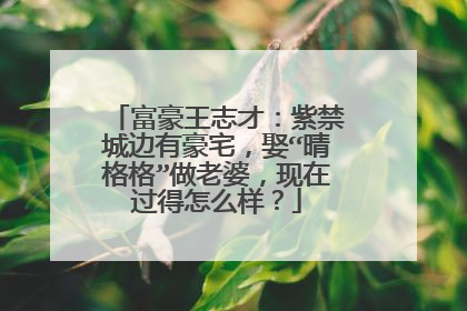 富豪王志才：紫禁城边有豪宅，娶“晴格格”做老婆，现在过得怎么样？