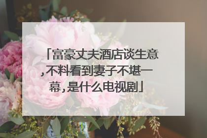 富豪丈夫酒店谈生意,不料看到妻子不堪一幕,是什么电视剧