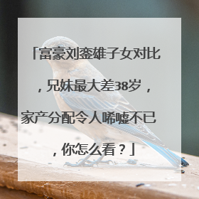 富豪刘銮雄子女对比，兄妹最大差38岁，家产分配令人唏嘘不已，你怎么看？