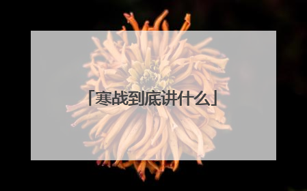 寒战到底讲什么