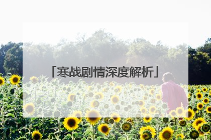 寒战剧情深度解析