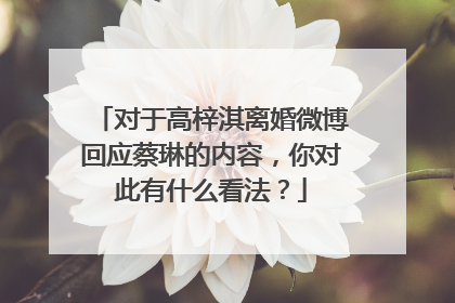 对于高梓淇离婚微博回应蔡琳的内容,你对此有什么看法?