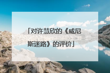对许慧欣的《威尼斯迷路》的评价