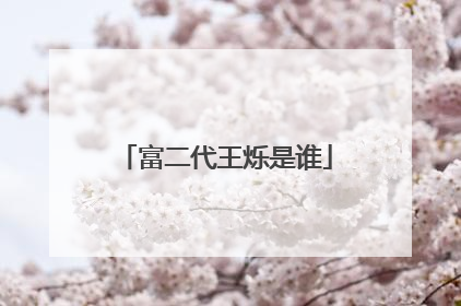 富二代王烁是谁