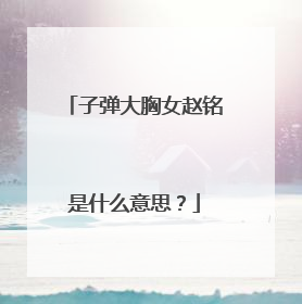 子弹大胸女赵铭是什么意思？
