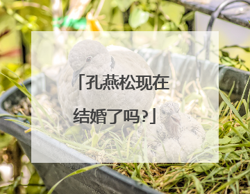 孔燕松现在结婚了吗?