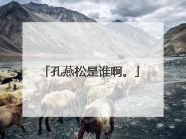 孔燕松是谁啊。