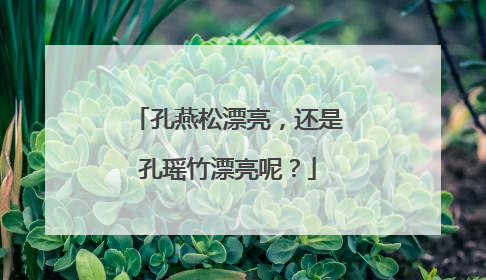 孔燕松漂亮，还是孔瑶竹漂亮呢？