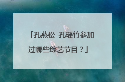 孔燕松 孔瑶竹参加过哪些综艺节目?