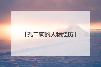 孔二狗的人物经历