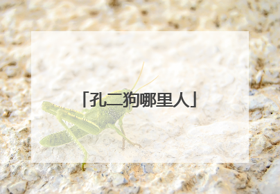 孔二狗哪里人