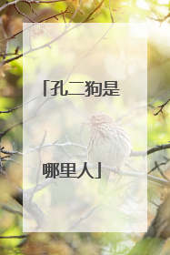 孔二狗是哪里人