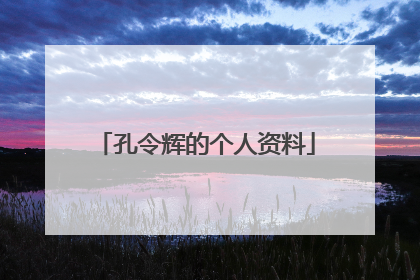 孔令辉的个人资料