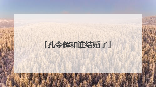 孔令辉和谁结婚了