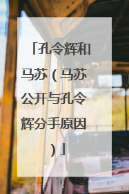 孔令辉和马苏(马苏公开与孔令辉分手原因)