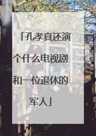 孔孝真还演个什么电视剧和一位退休的军人