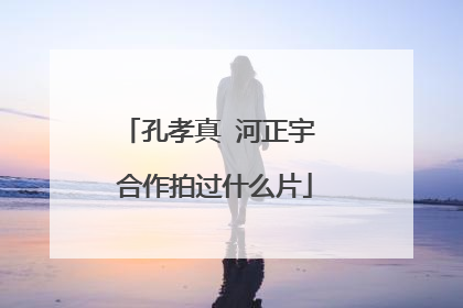 孔孝真 河正宇 合作拍过什么片