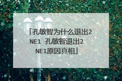 孔敏智为什么退出2NE1 孔敏智退出2NE1原因真相