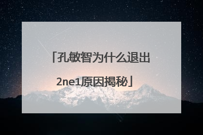孔敏智为什么退出2ne1原因揭秘