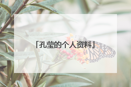 孔莹的个人资料