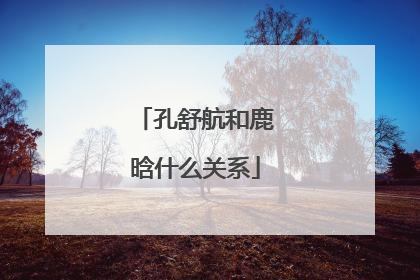 孔舒航和鹿晗什么关系