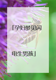 孕妇梦见闪电生男孩