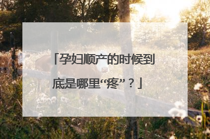 孕妇顺产的时候到底是哪里“疼”？