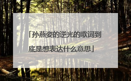 孙燕姿的逆光的歌词到底是想表达什么意思