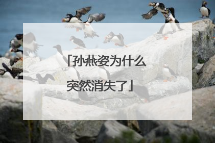 孙燕姿为什么突然消失了