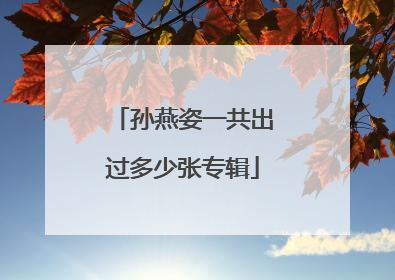 孙燕姿一共出过多少张专辑