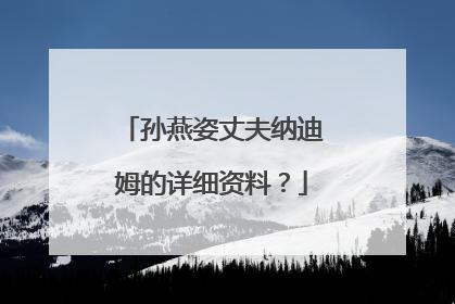孙燕姿丈夫纳迪姆的详细资料?