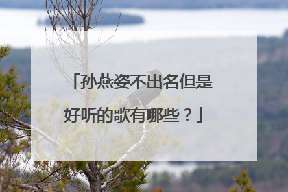 孙燕姿不出名但是好听的歌有哪些？