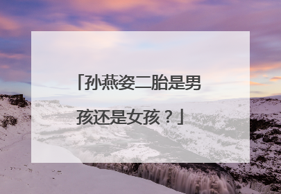 孙燕姿二胎是男孩还是女孩？