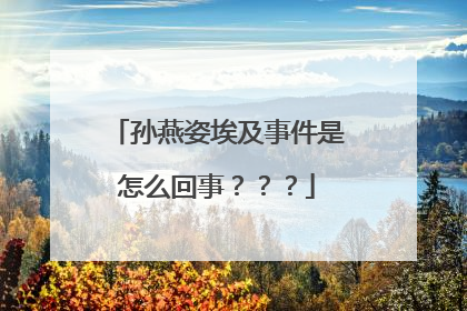 孙燕姿埃及事件是怎么回事？？？