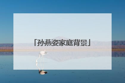 孙燕姿家庭背景