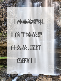 孙燕姿婚礼上的手捧花是什么花.深红色的什