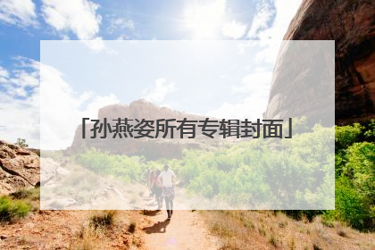 孙燕姿所有专辑封面